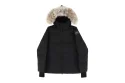 Canada Goose Women's Chelsea Parka (Black Badge)